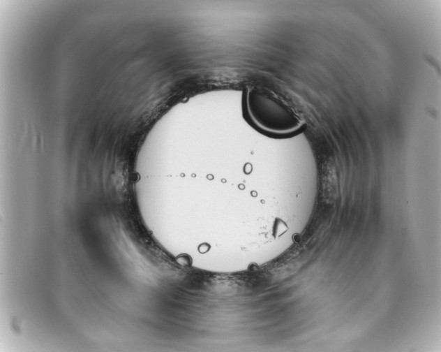 X0000093390608200710251243