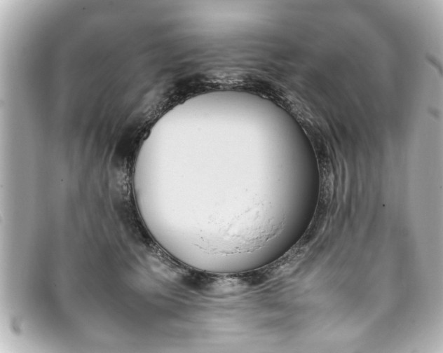 X0000093390609200710251243