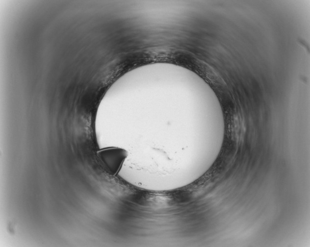 X0000093390610200710251242