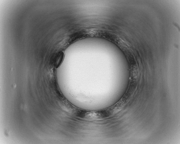 X0000093390611200710251242