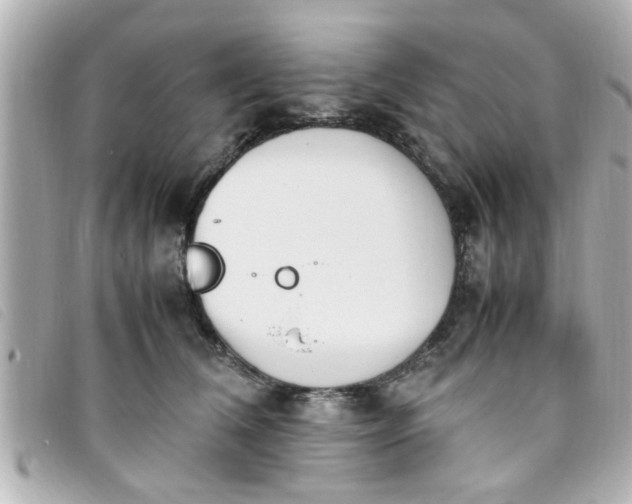 X0000093390612200710251242