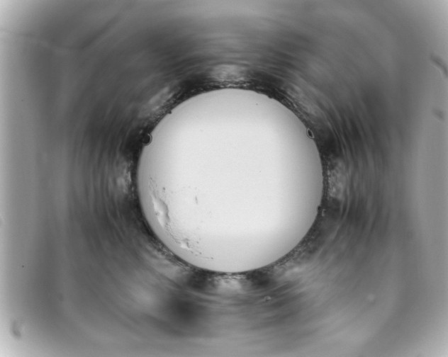 X0000093390618200710251242