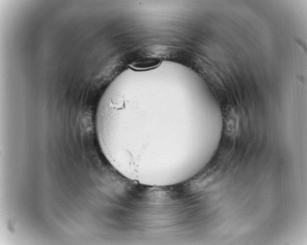 X0000093390620200710251242