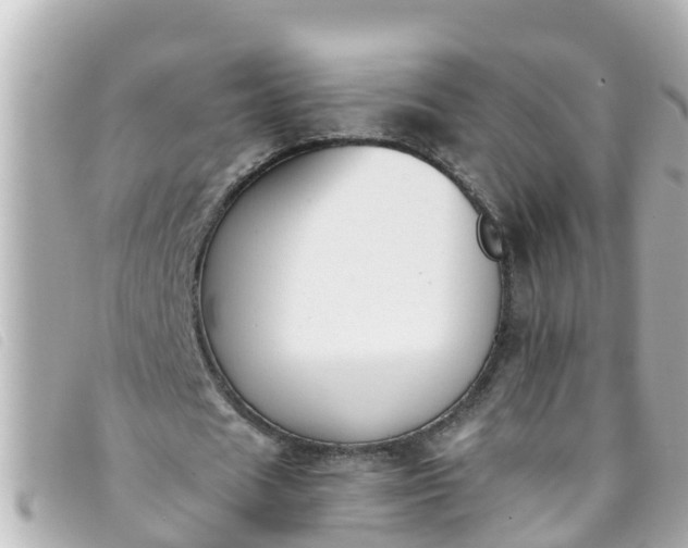 X0000093390625200710251241