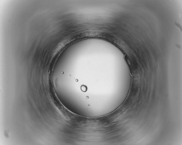 X0000093390626200710251241