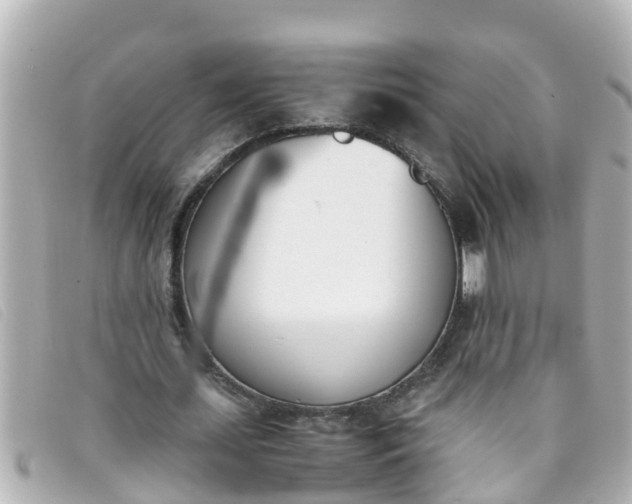 X0000093390627200710251242