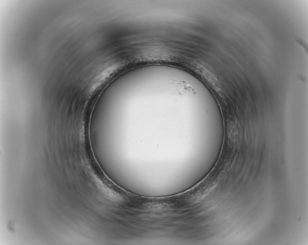 X0000093390629200710251242