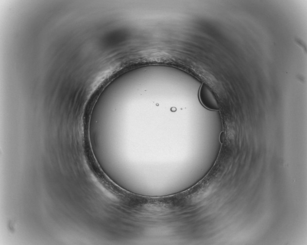 X0000093390630200710251242