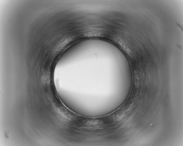 X0000093390631200710251242