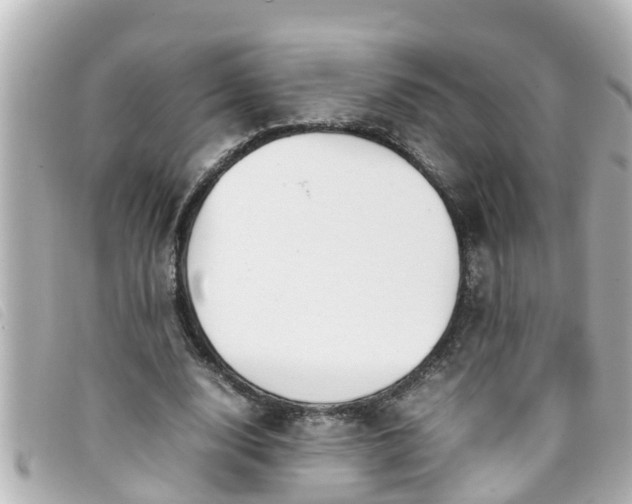 X0000093390632200710251242