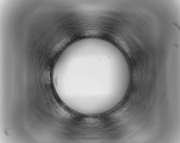 X0000093390633200710251242