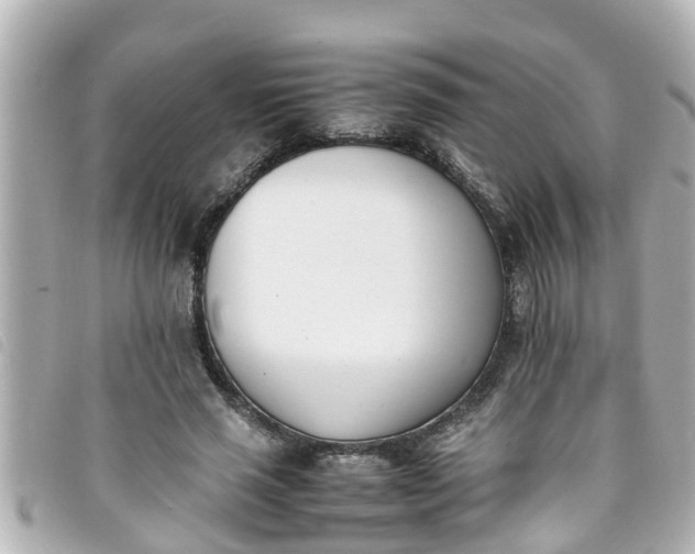 X0000093390637200710251242