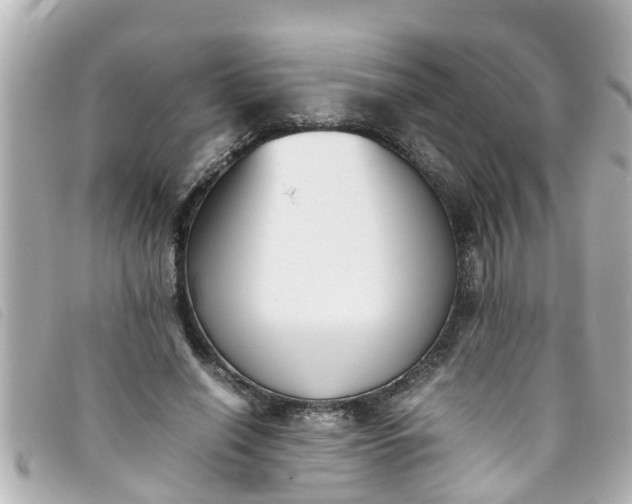 X0000093390638200710251242