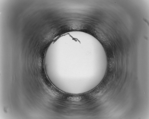 X0000093390639200710251242