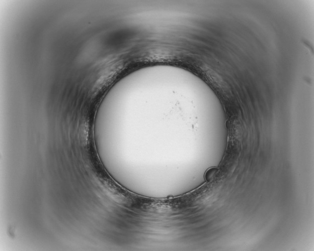 X0000093390640200710251242