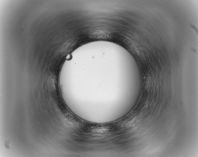 X0000093390643200710251242