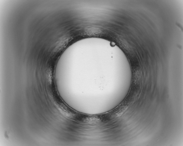 X0000093390644200710251242