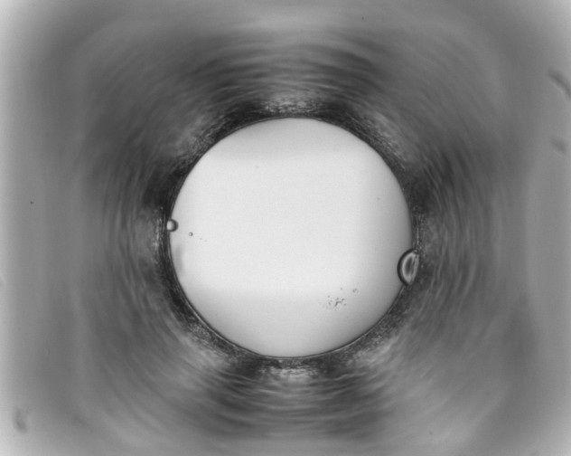 X0000093390645200710251242