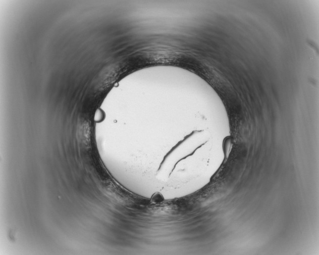 X0000093390646200710251242