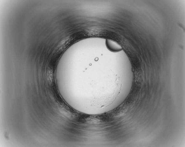 X0000093390648200710251242