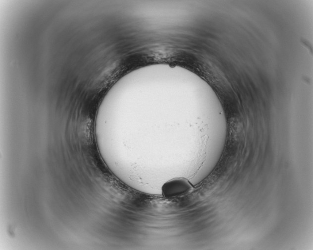 X0000093390650200710251242