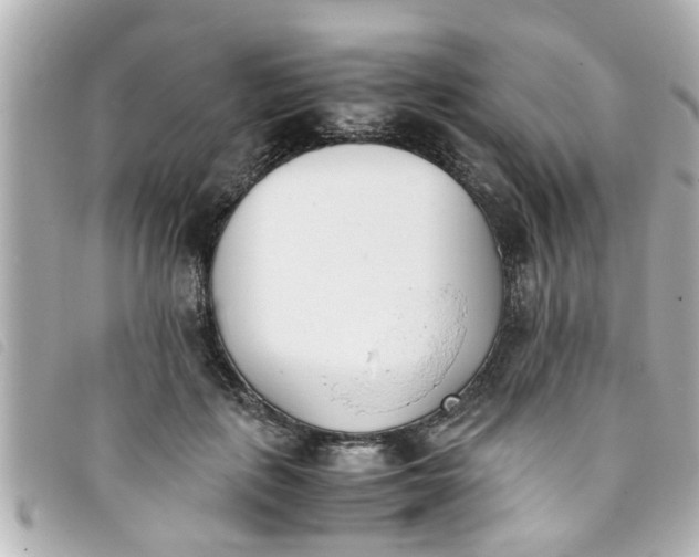 X0000093390651200710251242