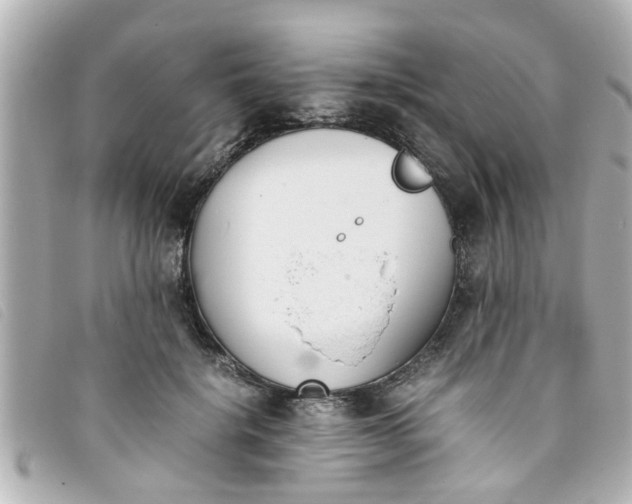 X0000093390652200710251242