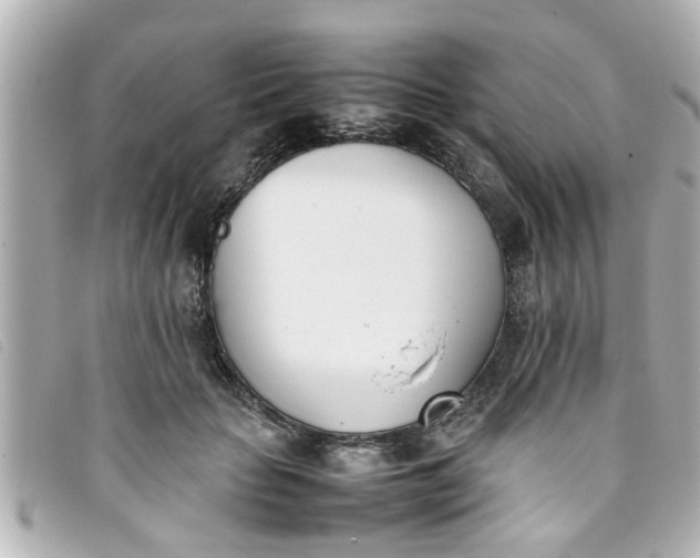 X0000093390653200710251242