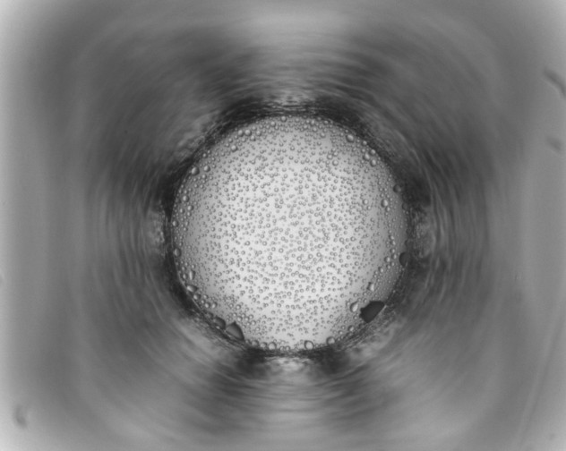 X0000093390654200710251242