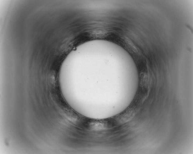 X0000093390655200710251242