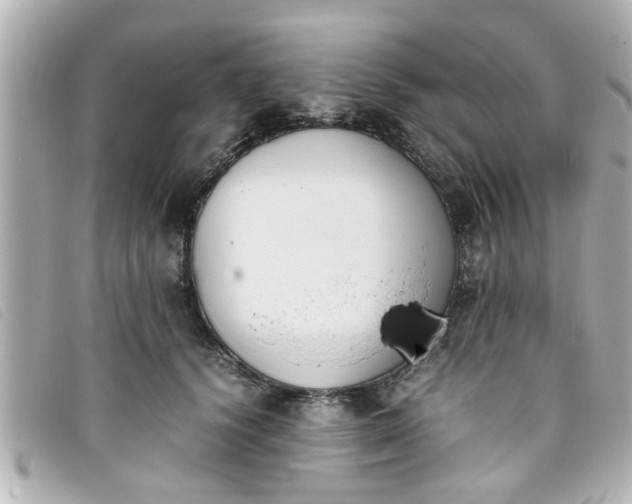 X0000093390656200710251242