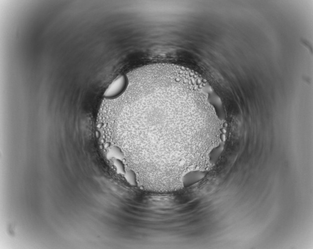 X0000093390659200710251242