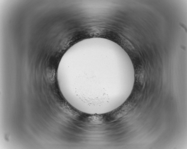 X0000093390660200710251242