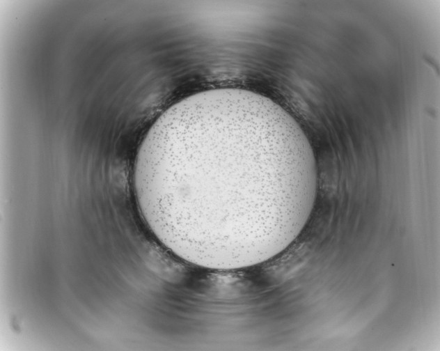 X0000093390662200710251242