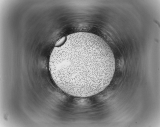 X0000093390663200710251242