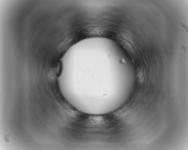 X0000093390665200710251242