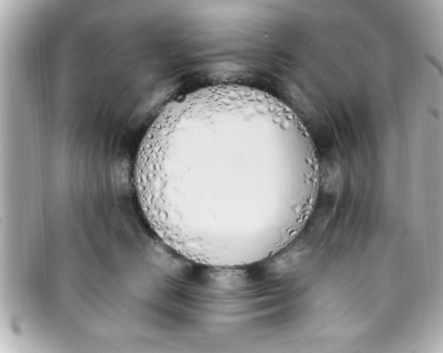 X0000093390670200710251242