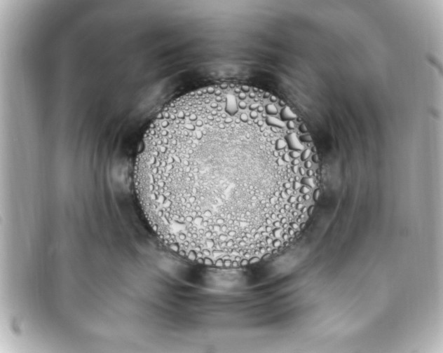 X0000093390671200710251242