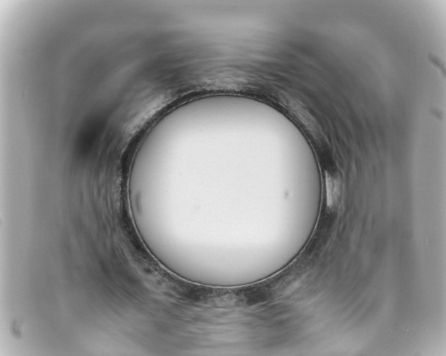 X0000093390675200710251241