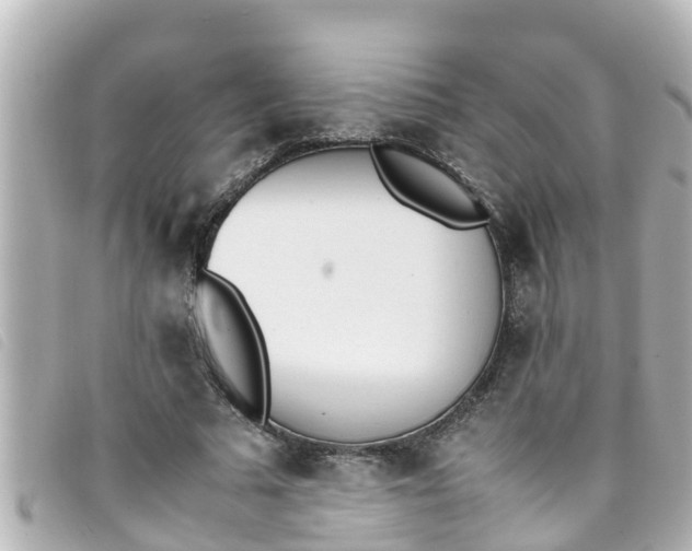 X0000093390681200710251241