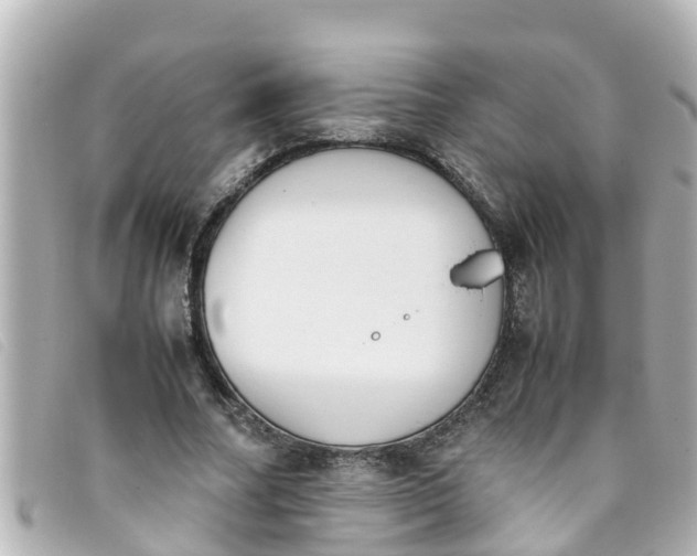 X0000093390682200710251241