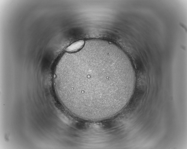 X0000093390683200710251241