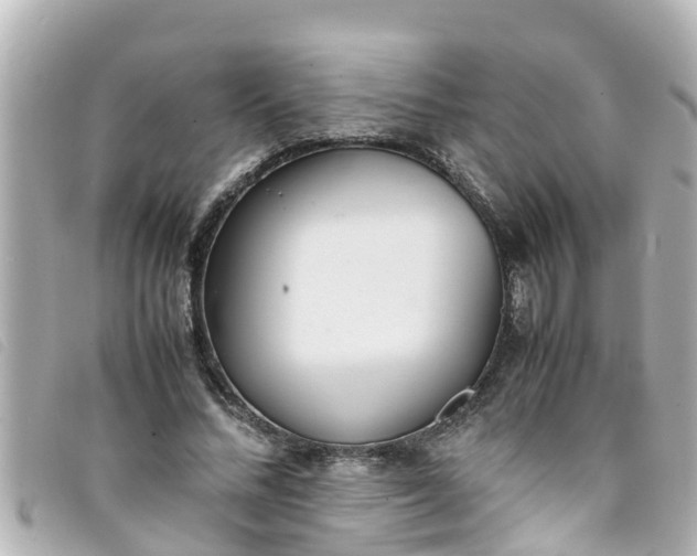 X0000093390684200710251241