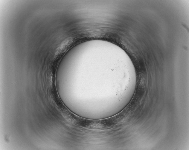 X0000093390685200710251241