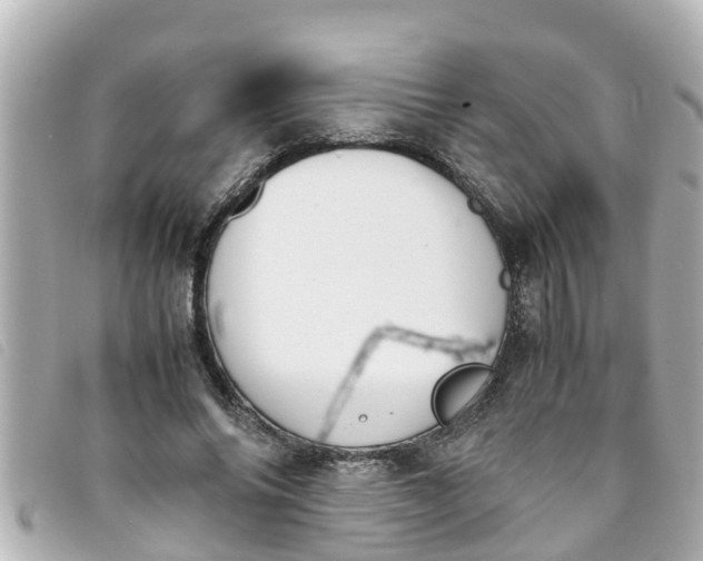 X0000093390686200710251241