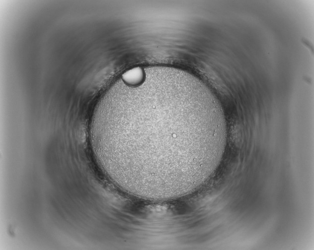 X0000093390687200710251241