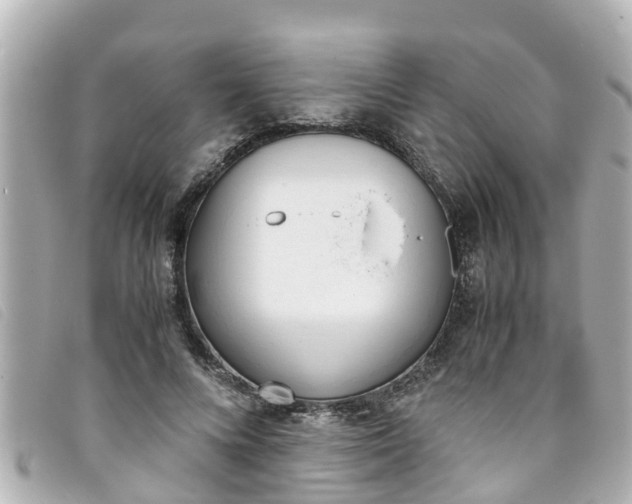 X0000093390688200710251241