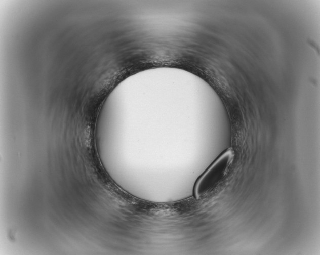 X0000093390689200710251241