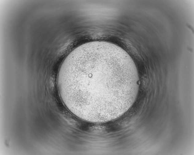 X0000093390691200710251241