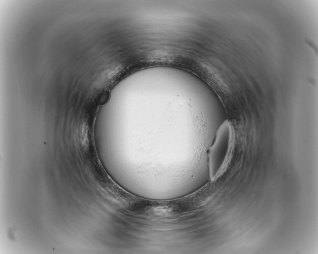 X0000093390692200710251241